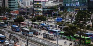 Ant farm people walking on pedestrian lane during daytime
