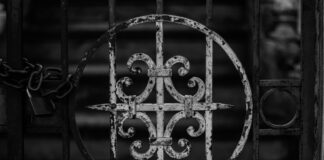 Perennial Garden grayscale photography of gate